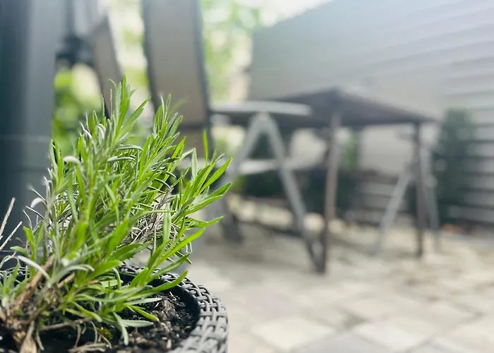 Perk 公寓 巴拉顿诺尔马迪